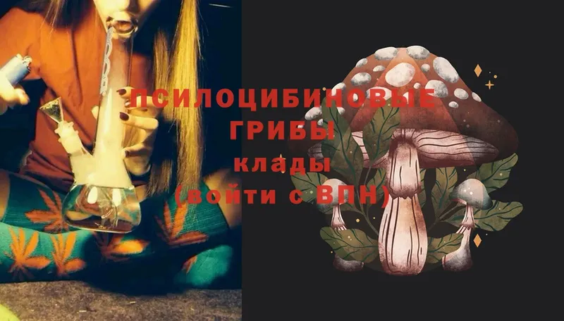 дарнет шоп  Боровичи  Псилоцибиновые грибы MAGIC MUSHROOMS 